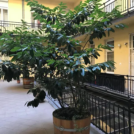 Apartment Central View
